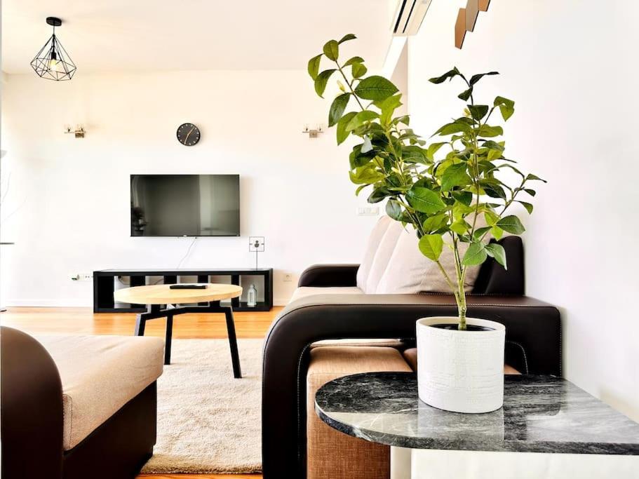 ליסבון Luz Benfica Apartment מראה חיצוני תמונה